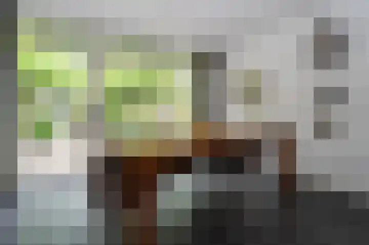 Pommerse Bocht 14 Veendam thumbnail 11