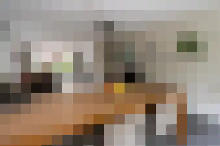 Pommerse Bocht 14 Veendam thumbnail 12