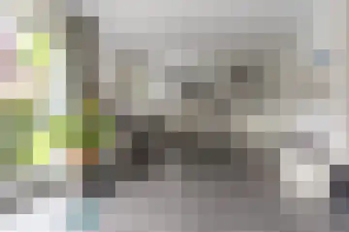 Pommerse Bocht 14 Veendam thumbnail 13