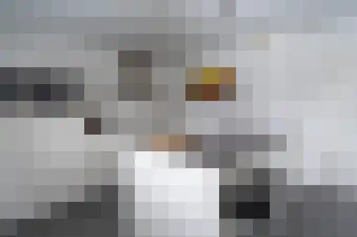 Pommerse Bocht 14 Veendam thumbnail 14
