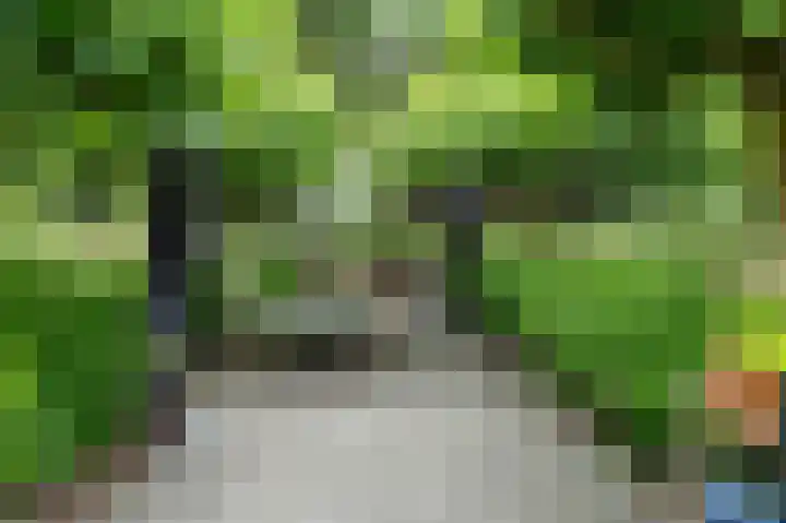 Pommerse Bocht 14 Veendam thumbnail 31
