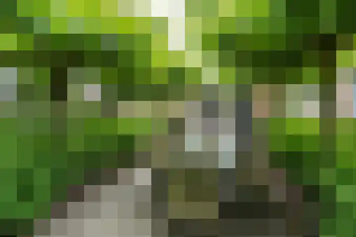 Pommerse Bocht 14 Veendam thumbnail 32