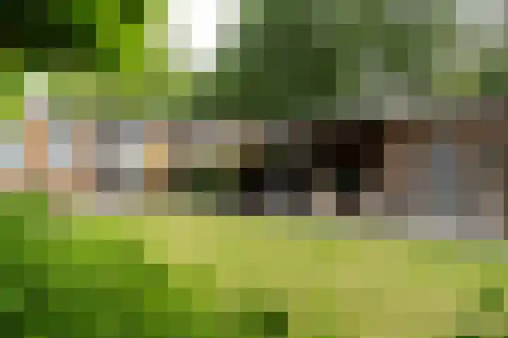 Pommerse Bocht 14 Veendam thumbnail 33