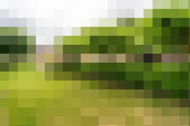 Pommerse Bocht 14 Veendam thumbnail 34
