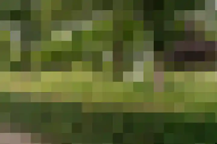 Pommerse Bocht 14 Veendam thumbnail 35