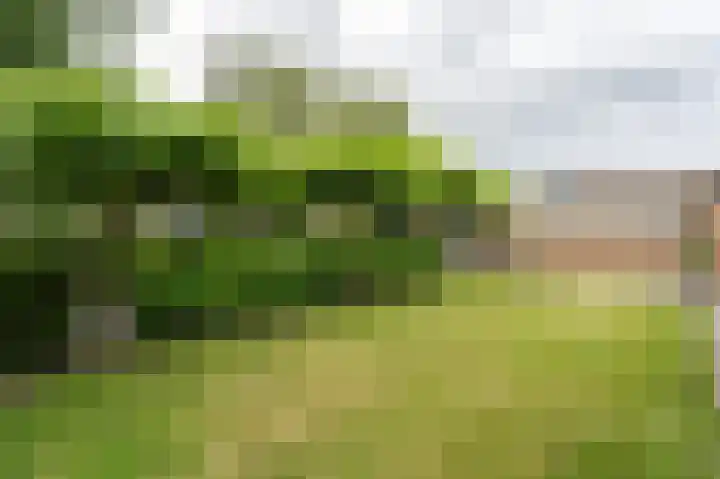 Pommerse Bocht 14 Veendam thumbnail 36