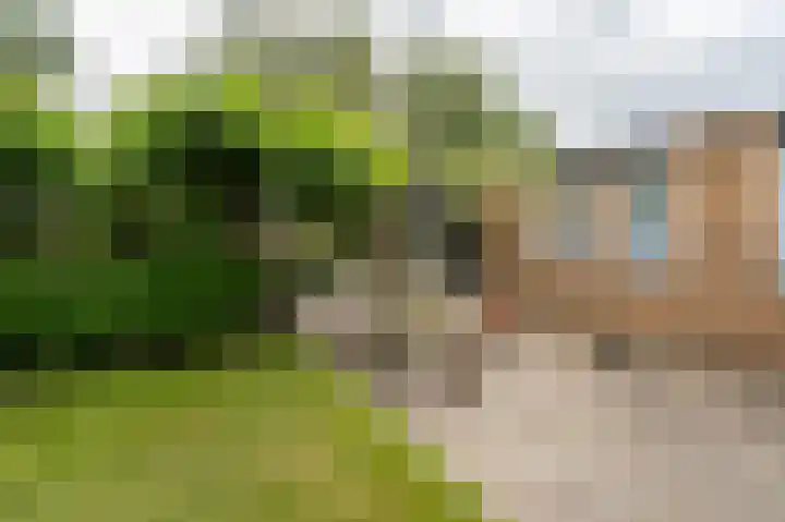 Pommerse Bocht 14 Veendam thumbnail 37