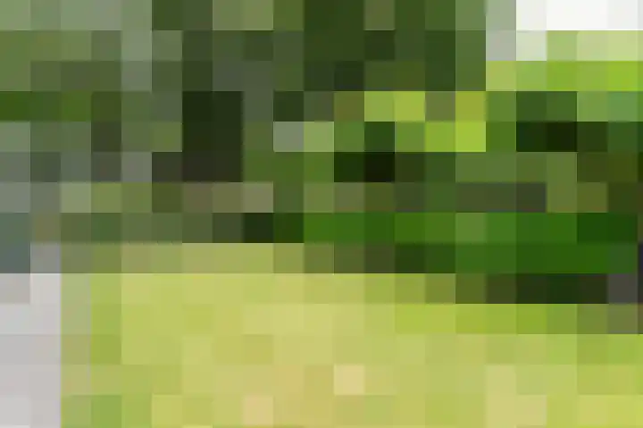 Pommerse Bocht 14 Veendam thumbnail 38