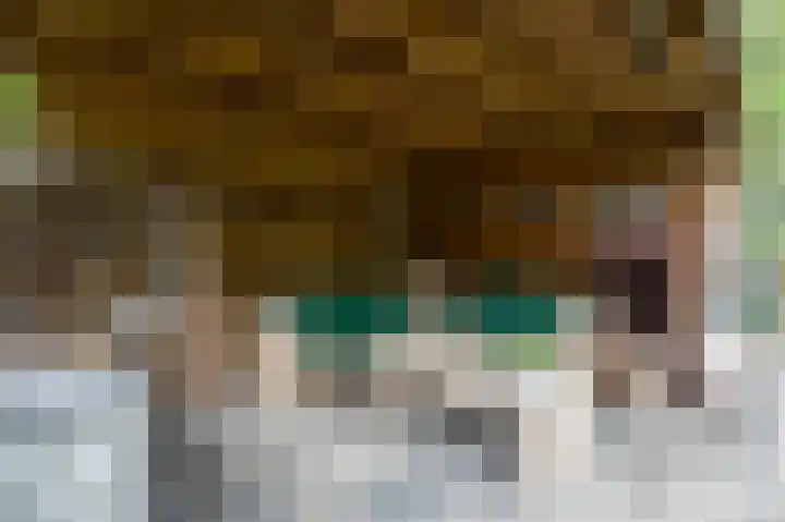 Pommerse Bocht 14 Veendam thumbnail 39