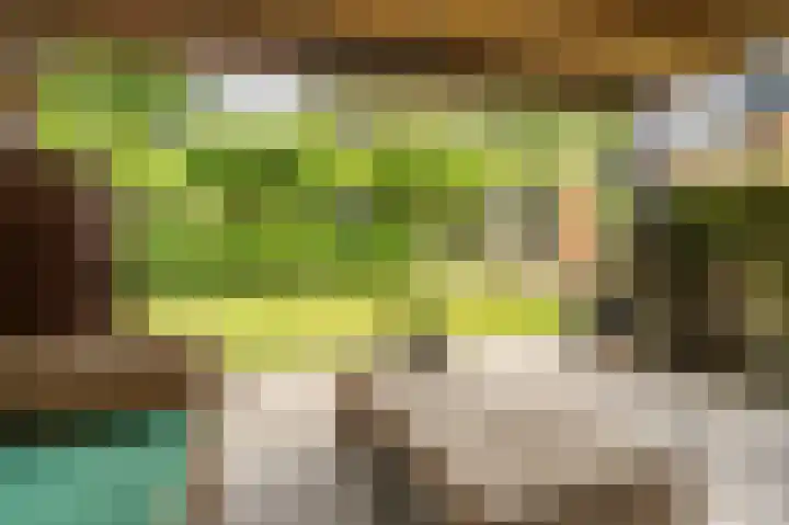 Pommerse Bocht 14 Veendam thumbnail 40