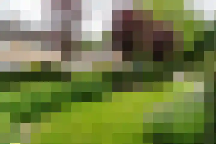 Pommerse Bocht 14 Veendam thumbnail 43