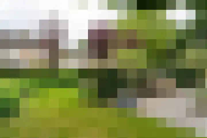 Pommerse Bocht 14 Veendam thumbnail 45