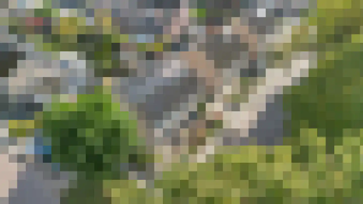 Pommerse Bocht 21 Veendam thumbnail 36