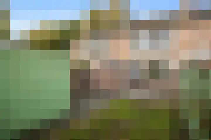 Pommerse Bocht 67 Veendam thumbnail 30