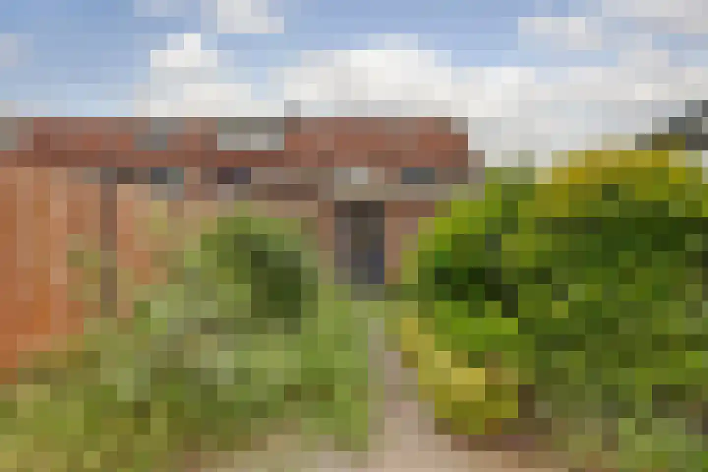 Pomona 2 Hellevoetsluis thumbnail 26