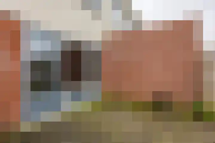 Pomona 35 Bemmel thumbnail 28