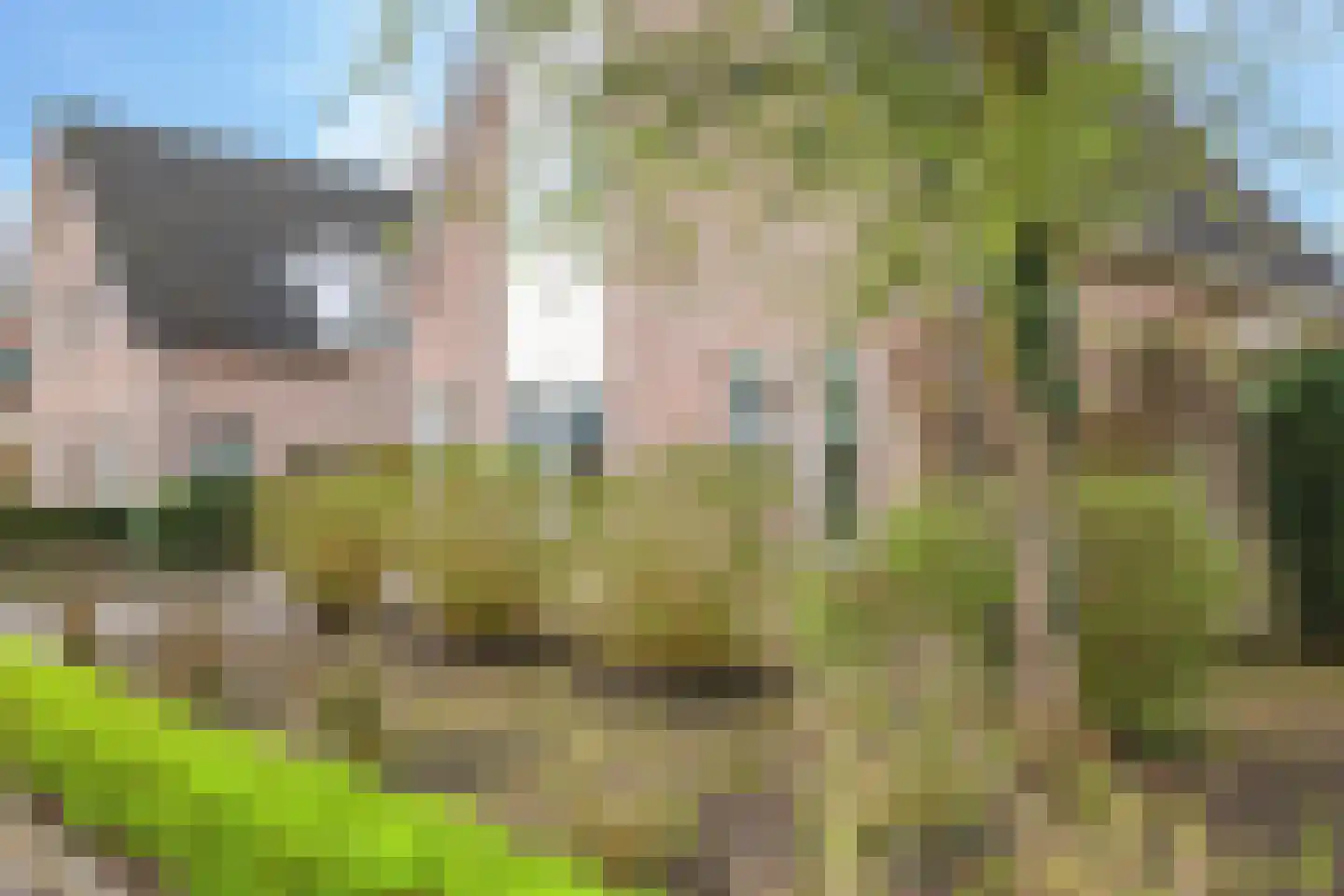 Pomona 36 Bemmel thumbnail 7
