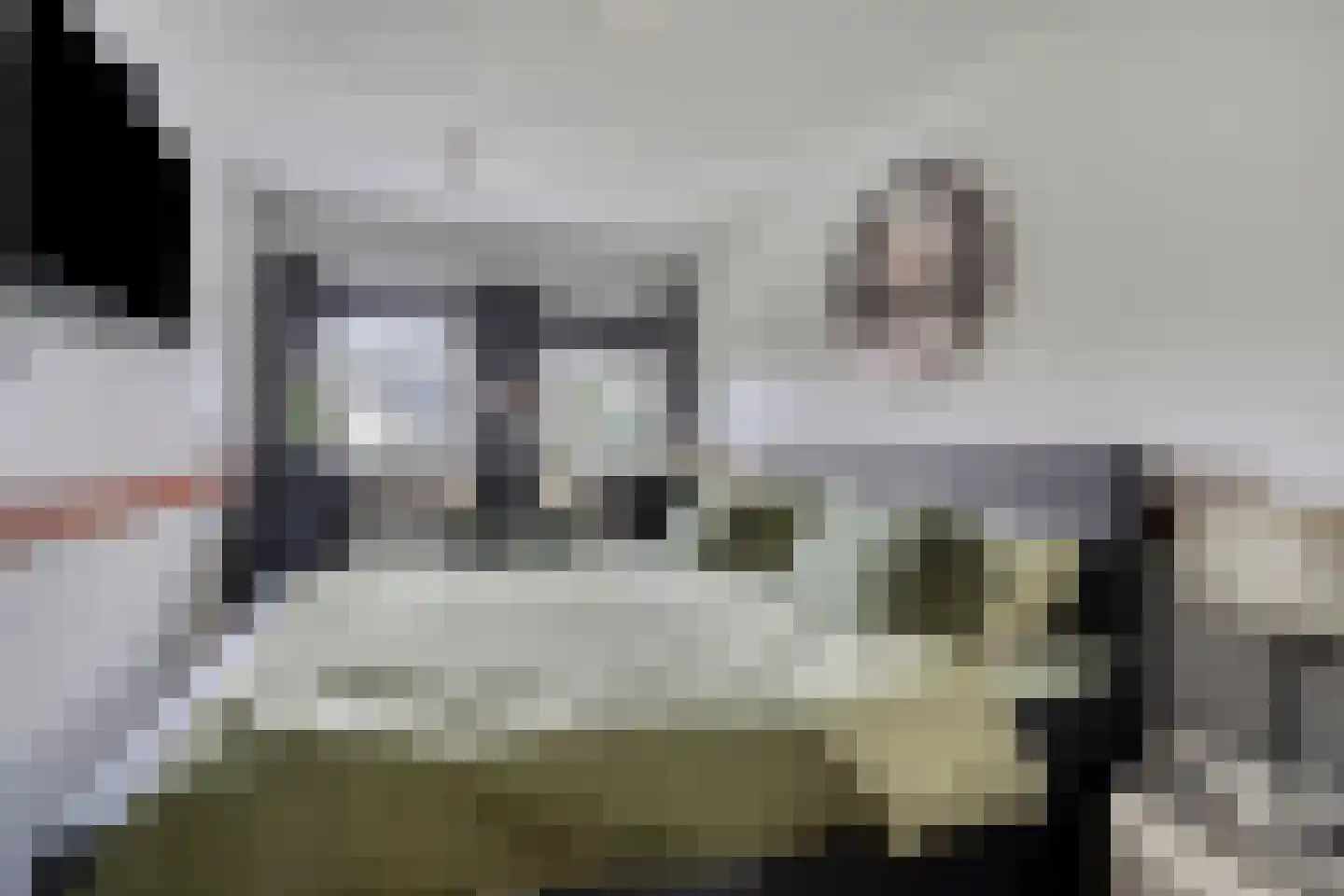 Pomona 72 Bemmel thumbnail 21