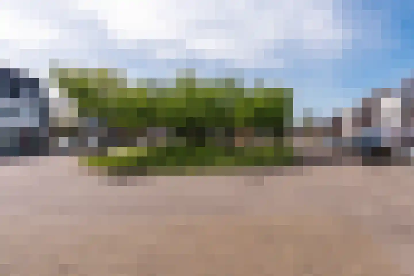 Pomona 74 Bemmel thumbnail 33