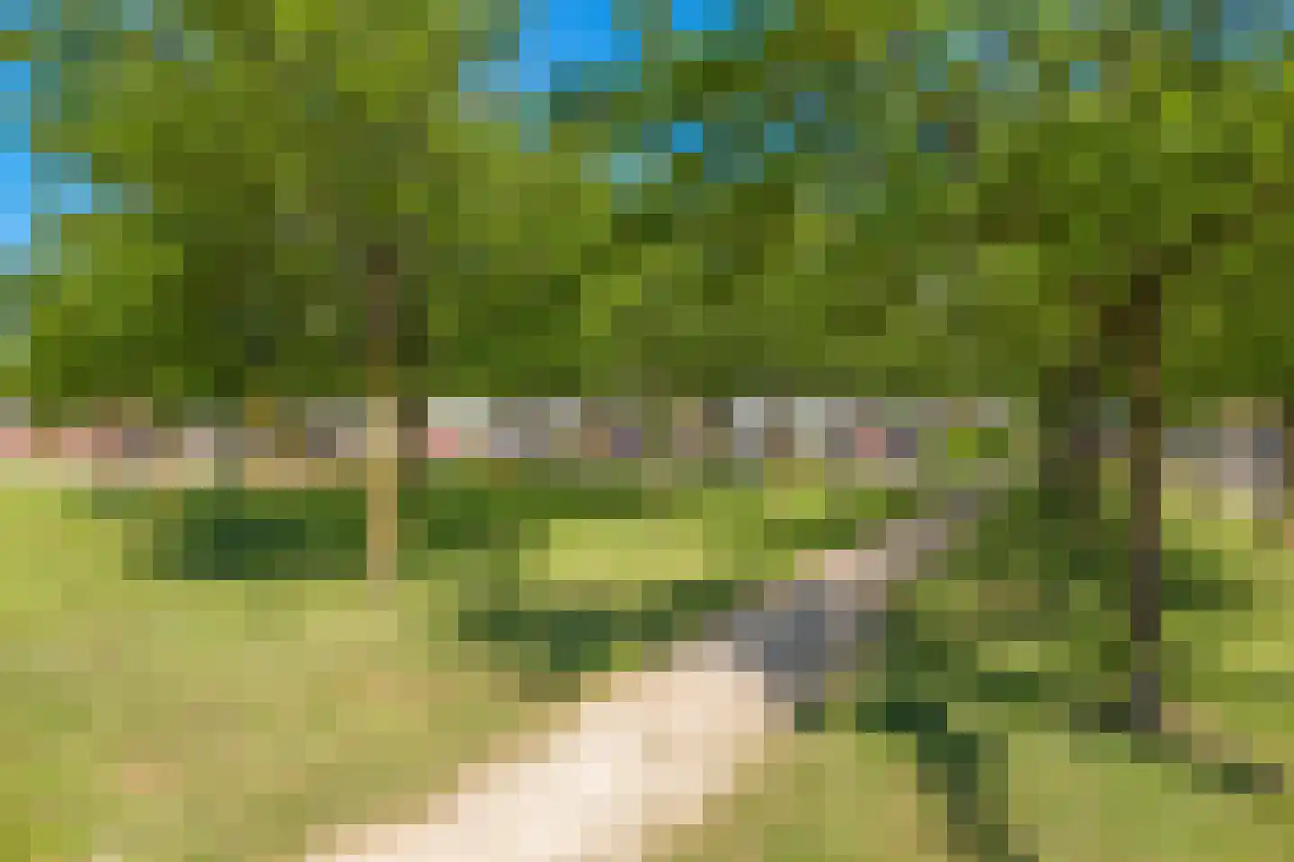 Pomona 98 Bemmel thumbnail 65