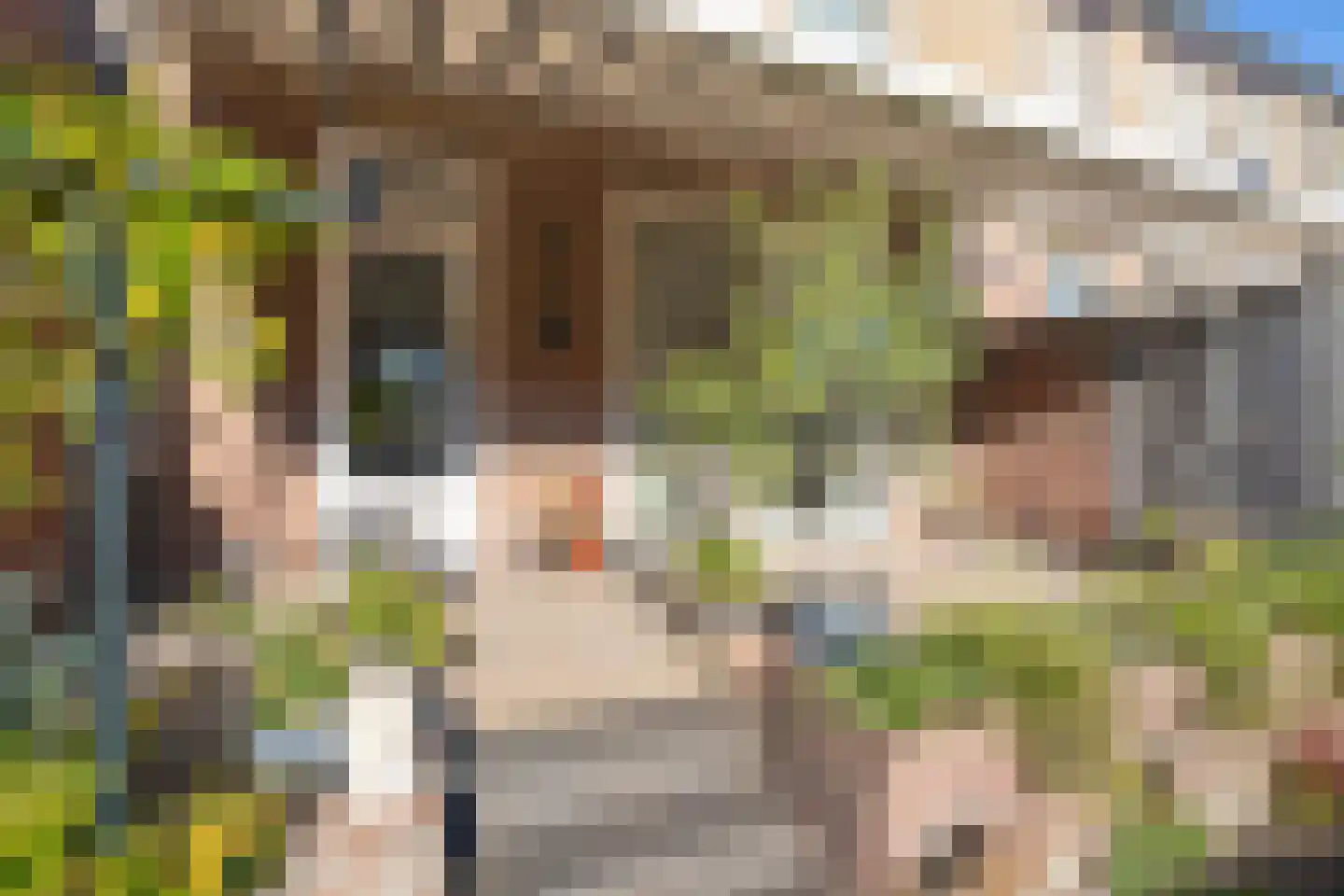 Pomonahof 23 Maastricht thumbnail 21
