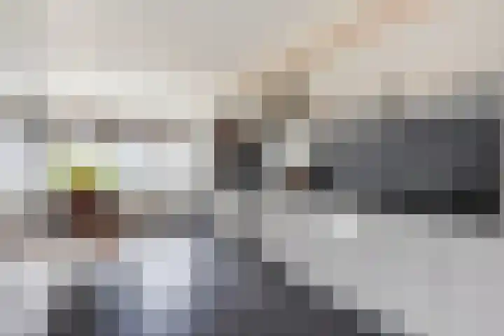 Pomonalaan 13 Apeldoorn thumbnail 13