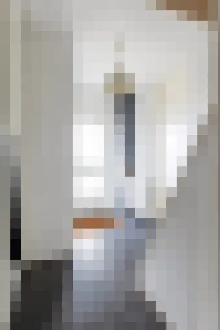 Pomonalaan 13 Apeldoorn thumbnail 19