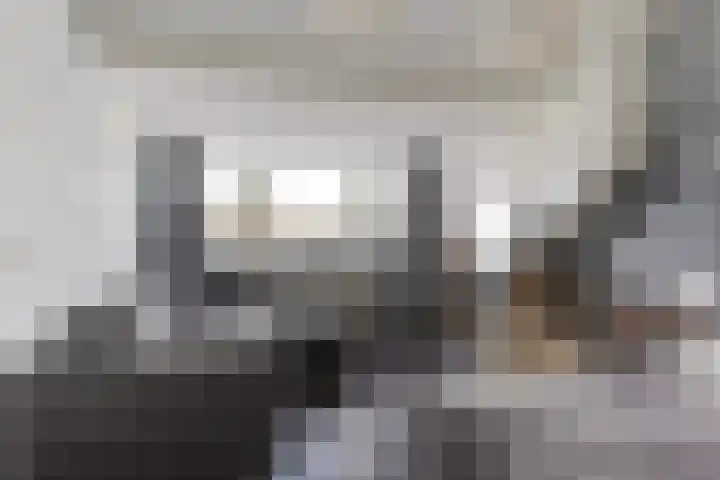 Pomonalaan 13 Apeldoorn thumbnail 31