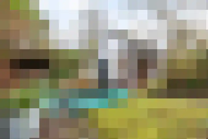 Pomonalaan 13 Apeldoorn thumbnail 37