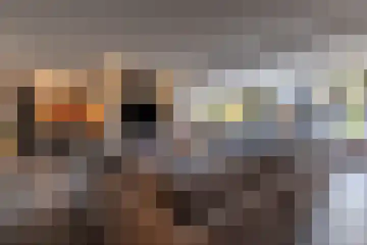 Pomonalaan 17 Apeldoorn thumbnail 13