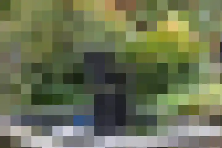 Pomonalaan 17 Apeldoorn thumbnail 29