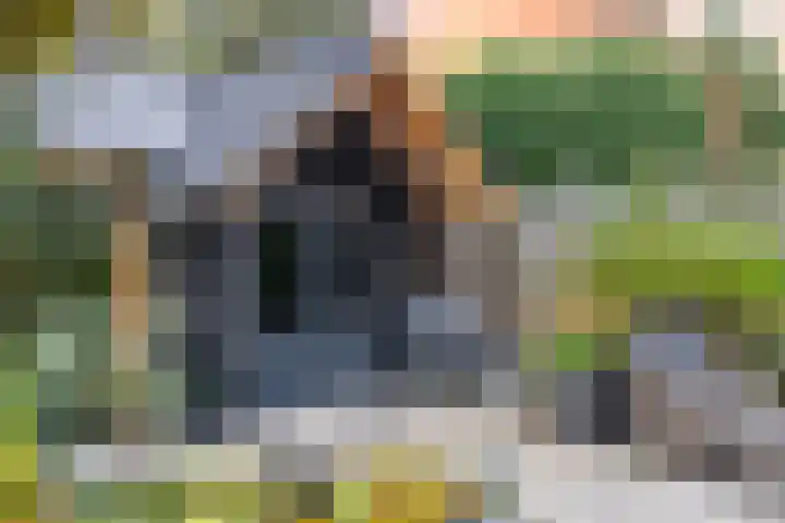 Pomonalaan 17 Apeldoorn thumbnail 31