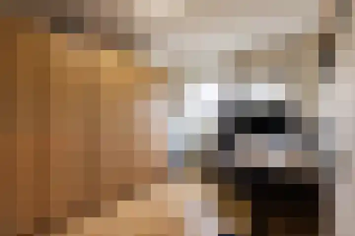 Pomonalaan 17 Apeldoorn thumbnail 34