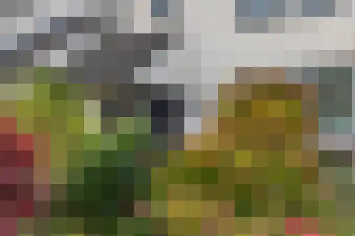 Pomonalaan 17 Apeldoorn thumbnail 6