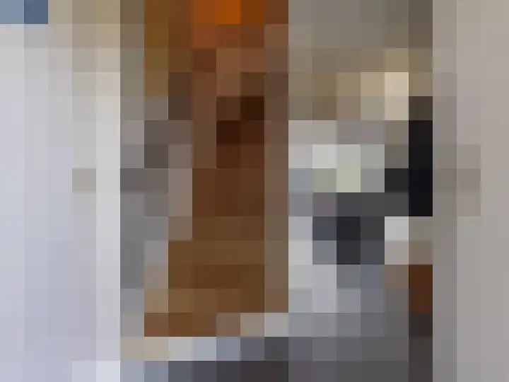 Pomonalaan 17 Apeldoorn thumbnail 8