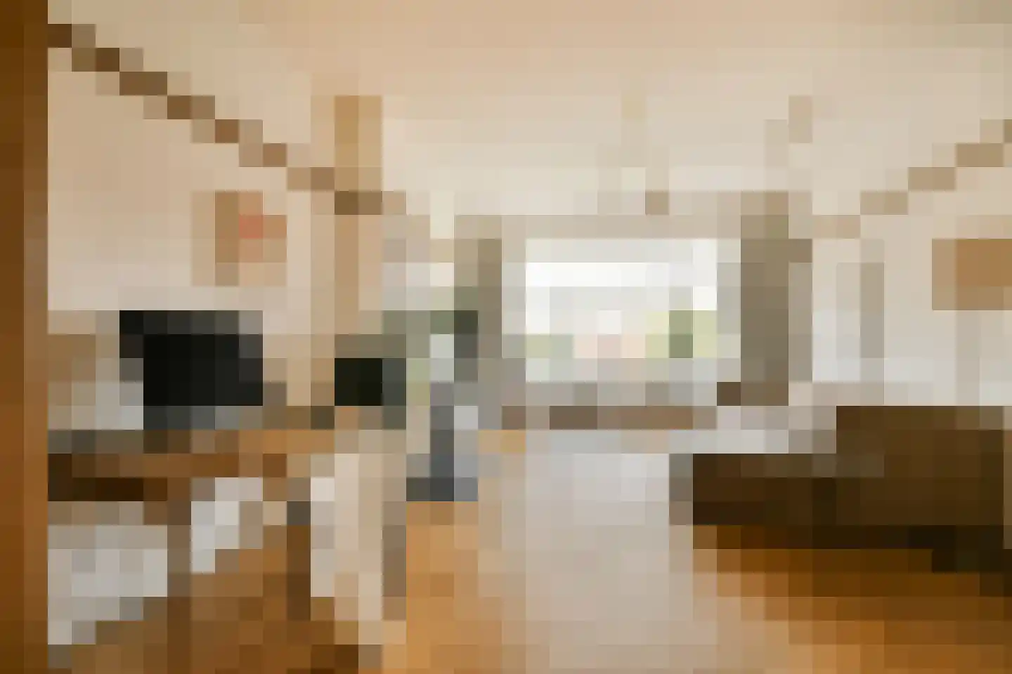 Pomonalaan 17 Den Haag thumbnail 10