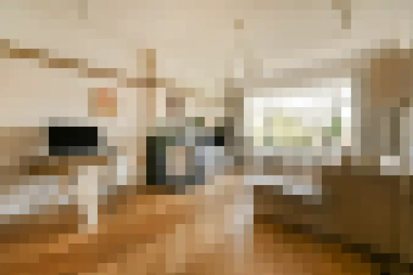 Pomonalaan 17 Den Haag thumbnail 11