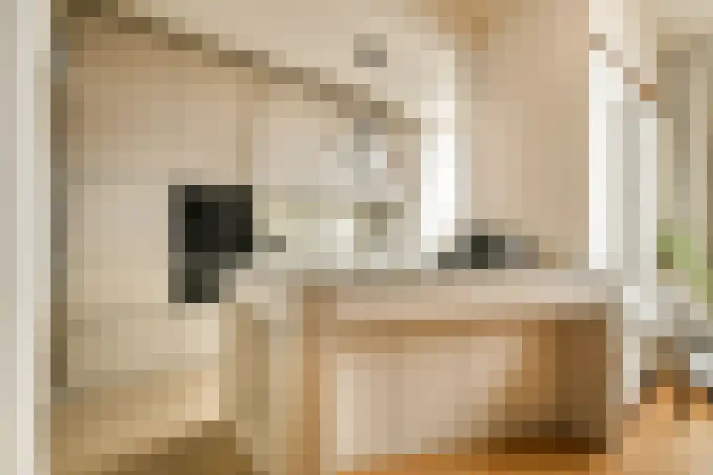 Pomonalaan 17 Den Haag thumbnail 5