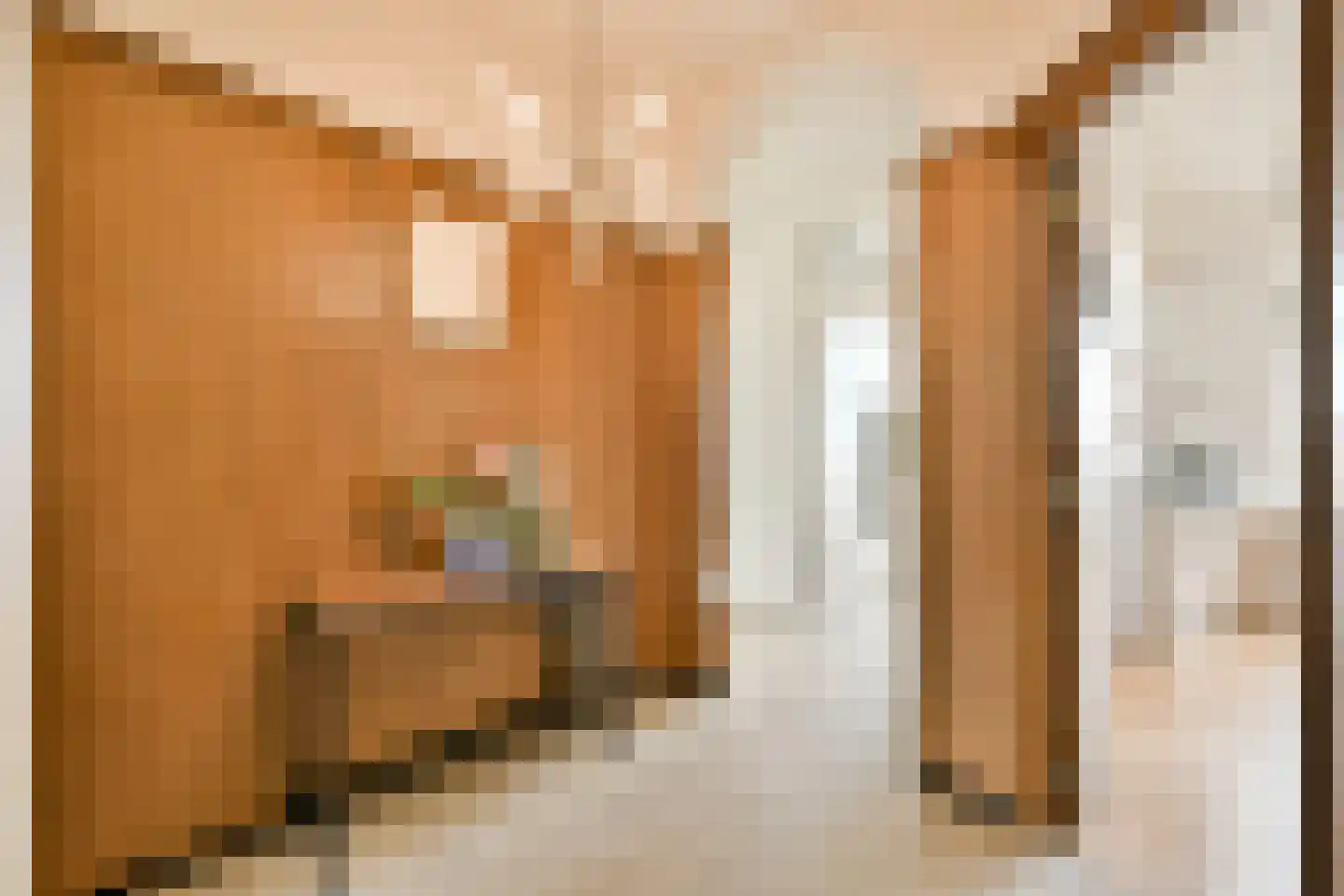 Pomonalaan 17 Den Haag thumbnail 9