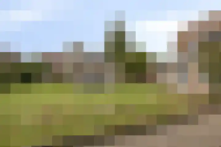 Pomonalaan 4 Bergen op Zoom thumbnail 31
