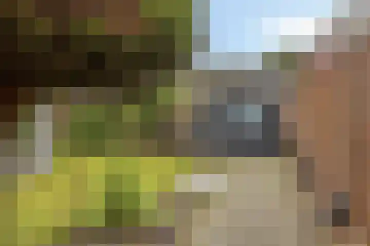 Pomonalaan 4 Bergen op Zoom thumbnail 34