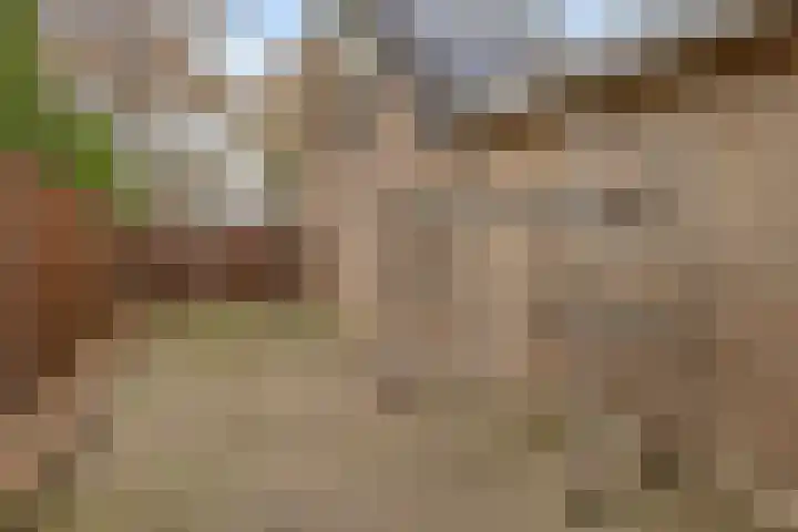 Pomonalaan 4 Bergen op Zoom thumbnail 35