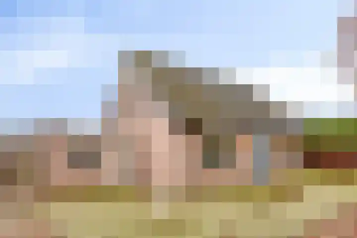 Pomonalaan 4 Bergen op Zoom thumbnail 38