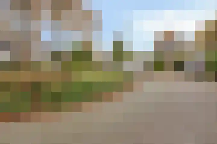Pomonalaan 4 Bergen op Zoom thumbnail 39