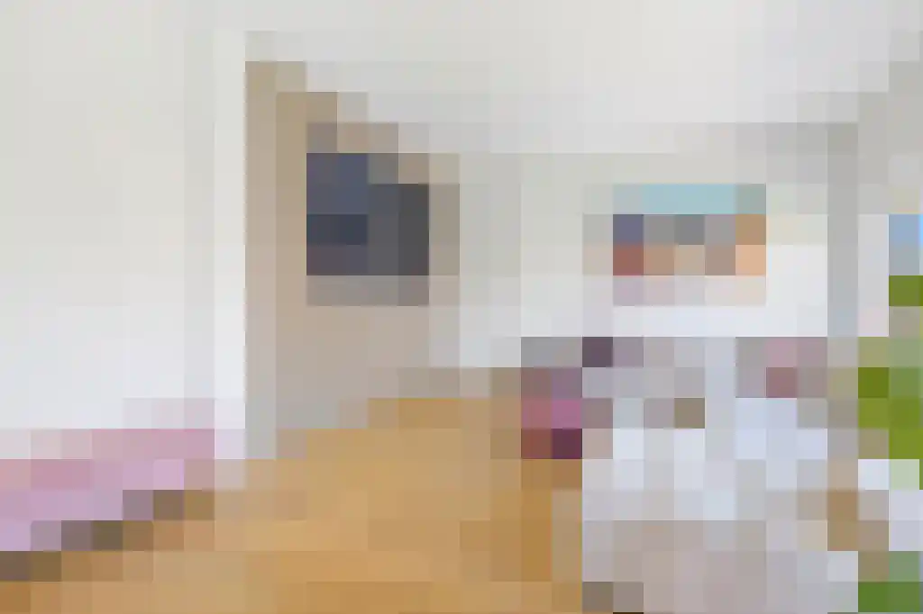 Pomonalaan 6 Den Haag thumbnail 4