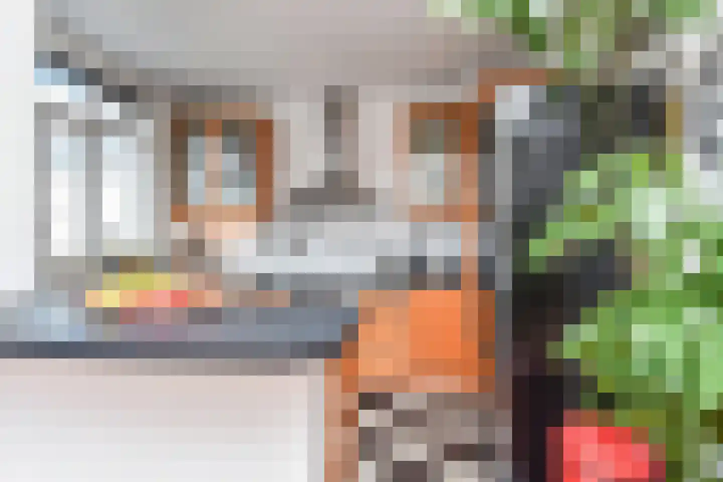 Pomonalaan 78 Den Haag thumbnail 18
