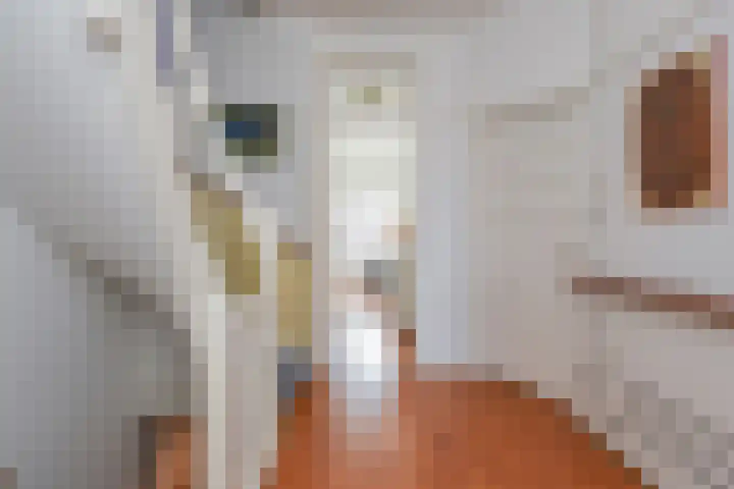 Pomonalaan 78 Den Haag thumbnail 6