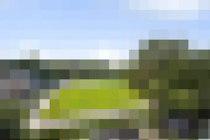 Pomonaplein 81 Den Haag thumbnail 38