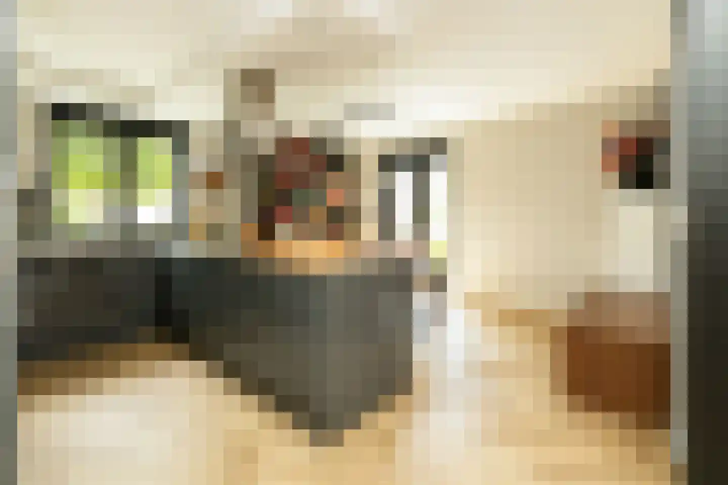 Pomonastraat 10 Naaldwijk thumbnail 10