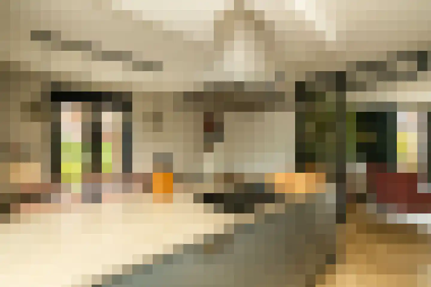 Pomonastraat 10 Naaldwijk thumbnail 12